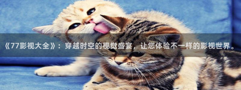 汤姆网