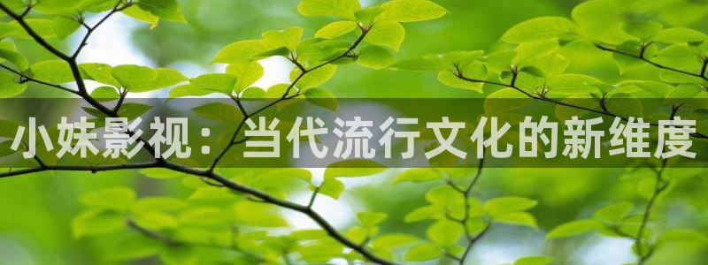 汤姆影院中转