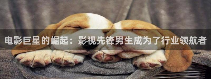 汤姆在线观看免费版：电影巨星的崛起：影视先锋男生成为了行业领航者