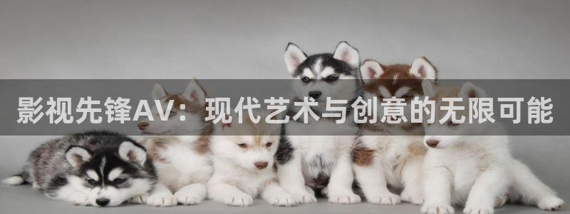 汤姆高清电影院：影视先锋AV：现代艺术与创意的无限可能